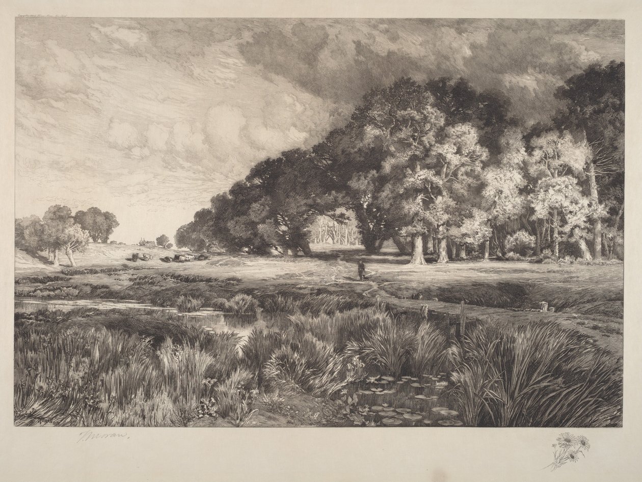 Paysages de Long Island - Thomas Moran
