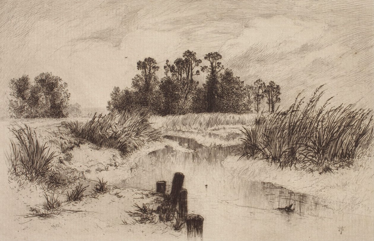 Paysage marécageux avec ruisseau - Thomas Moran