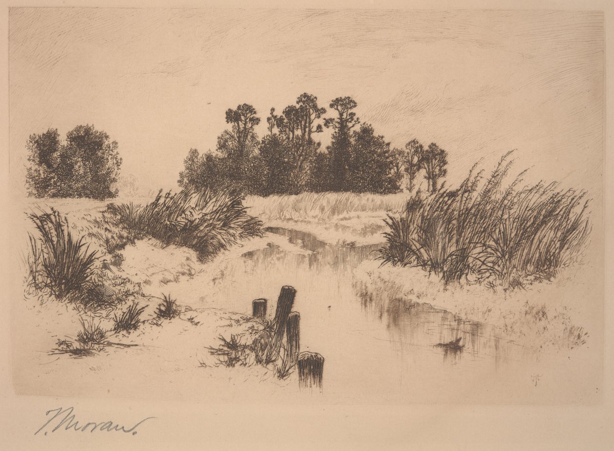 Passaic Meadows (dans les Newark Meadows) - Thomas Moran