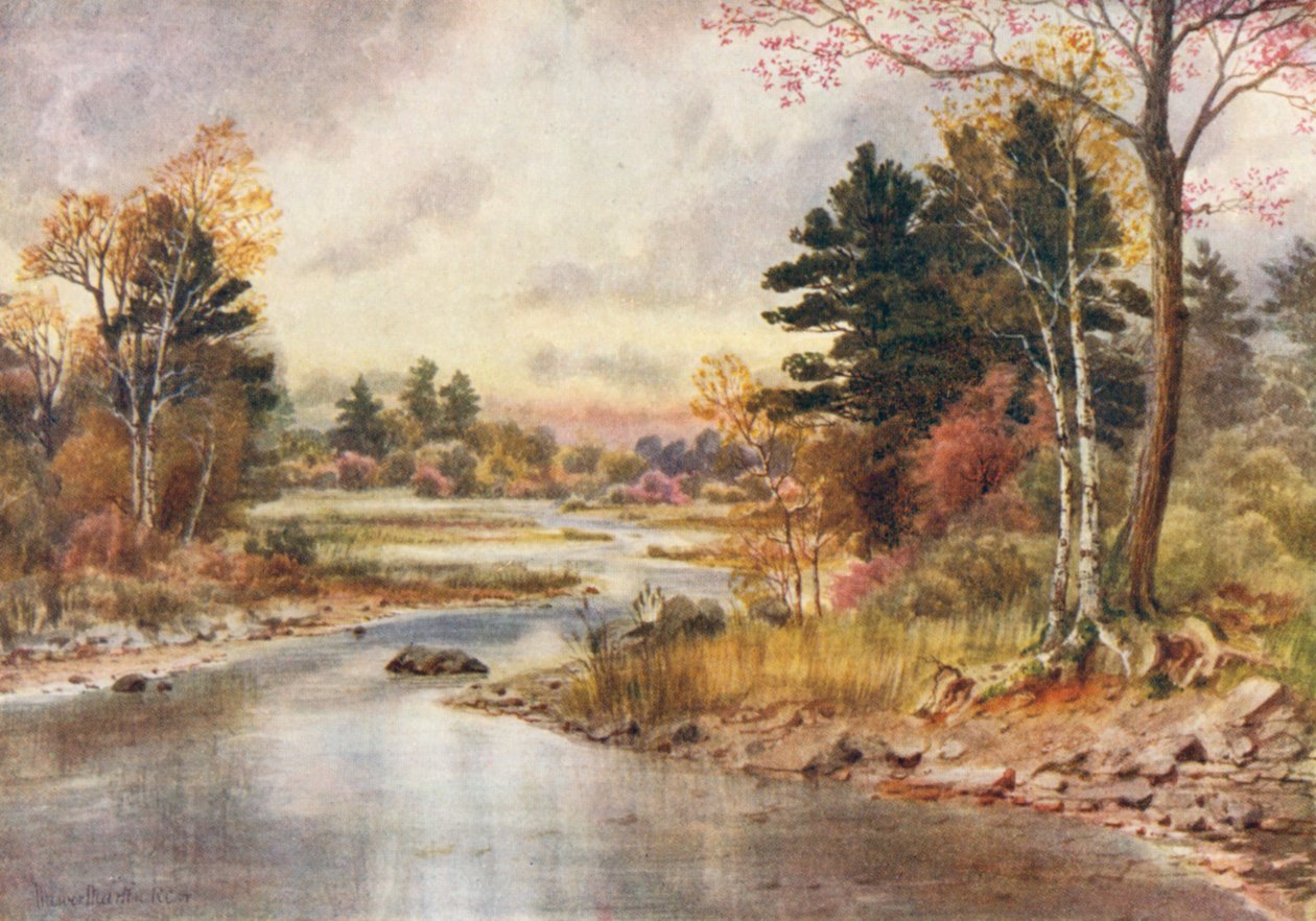  - Thomas Mower Martin