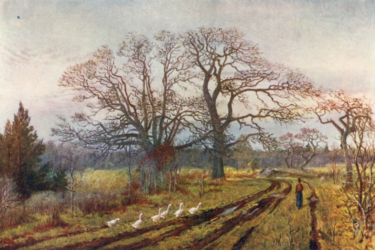  - Thomas Mower Martin