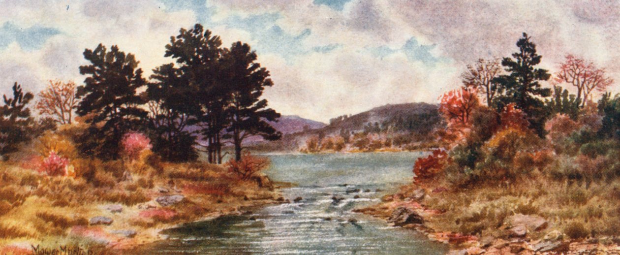 - Thomas Mower Martin