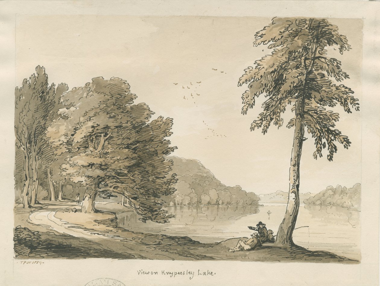Biddulph Moor - Les Bride-Stones - Thomas Peploe Wood