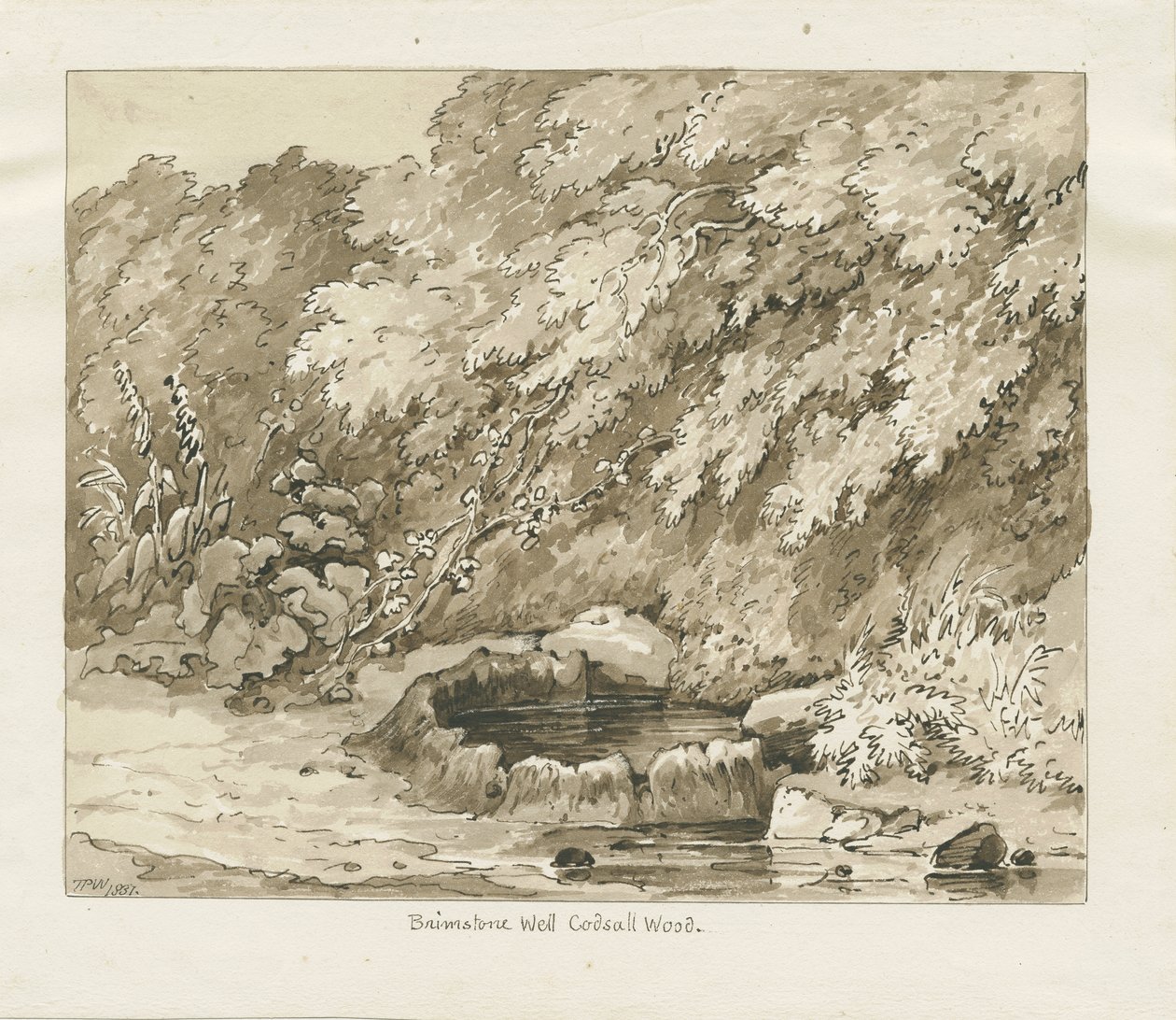 Codsall Wood - Puits de soufre - Thomas Peploe Wood