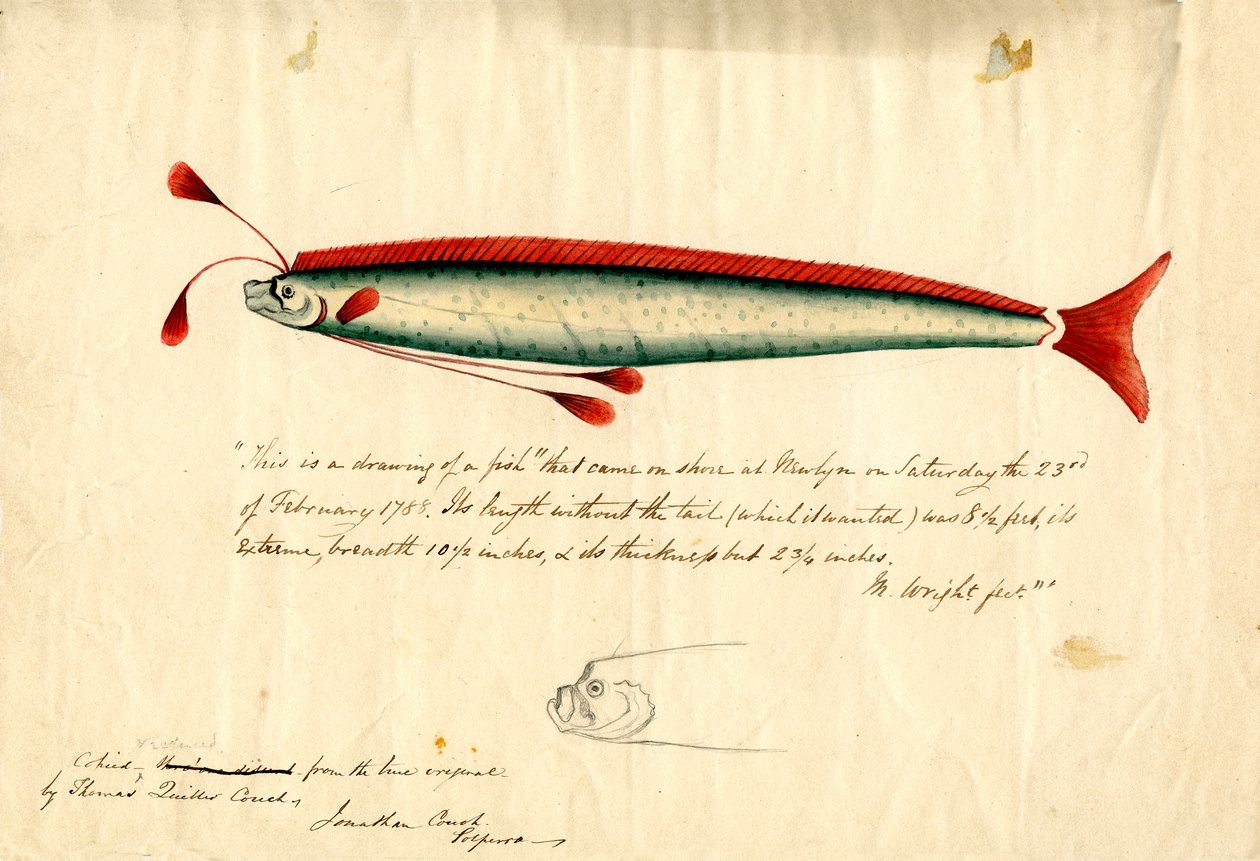 Dessin à l
