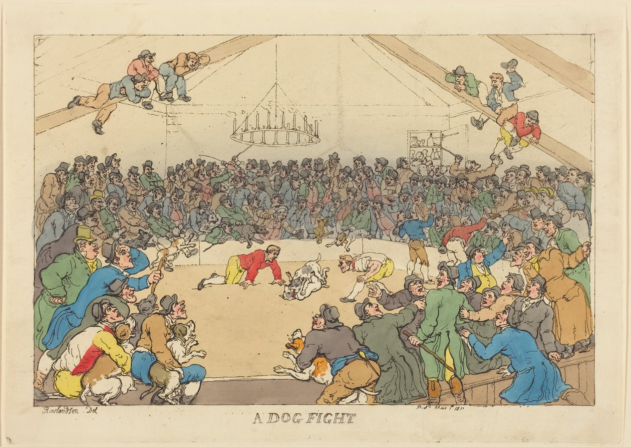 Une bagarre de chiens - Thomas Rowlandson