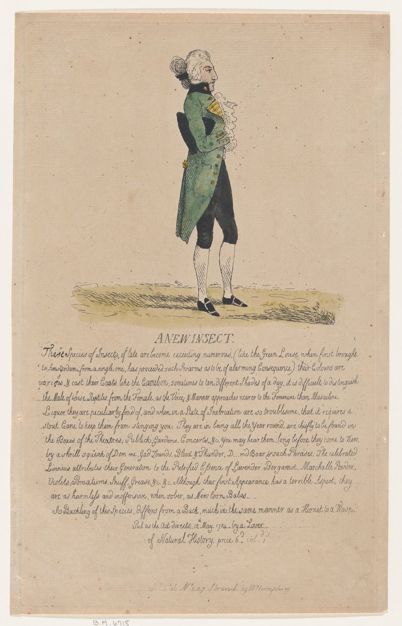 Un nouvel insecte, 12 mai 1784 - Thomas Rowlandson