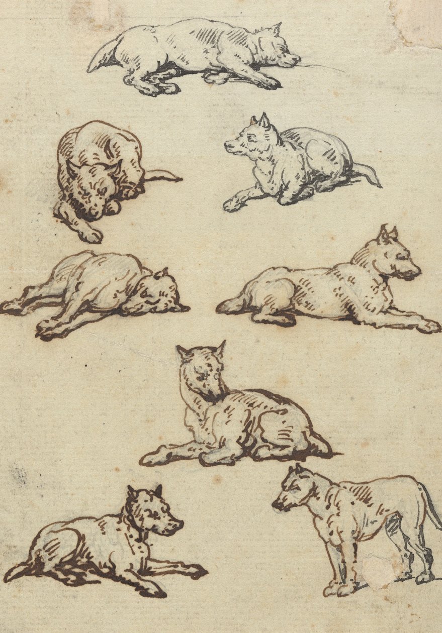 Illustration d