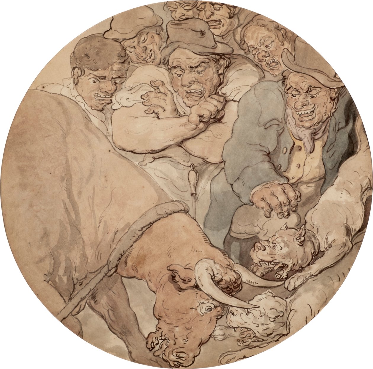 Combat de taureaux 1810s - Thomas Rowlandson