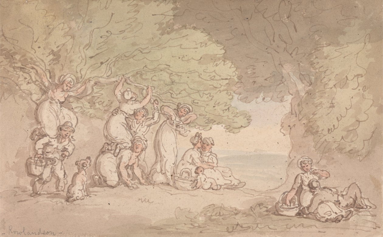 Cueillette de fruits et de noix - Thomas Rowlandson