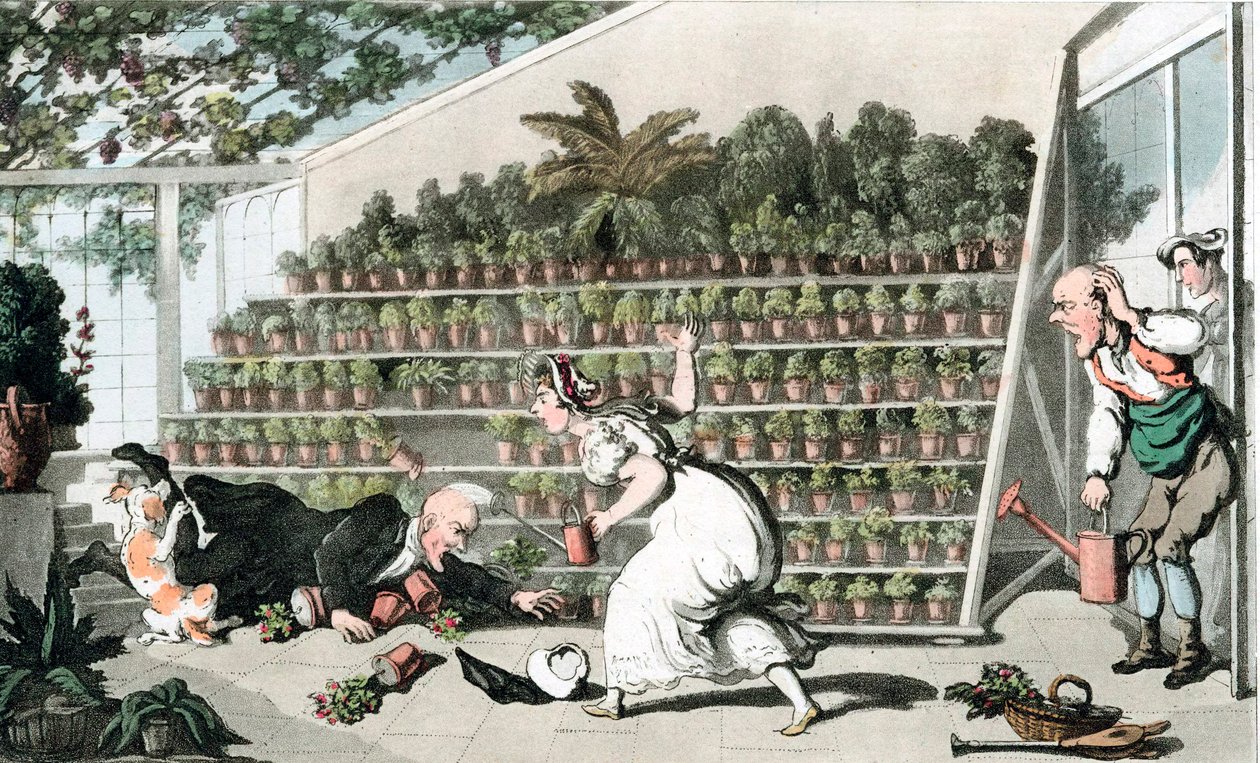 Malheur dans la salle des tulipes, vers 1816 - Thomas Rowlandson