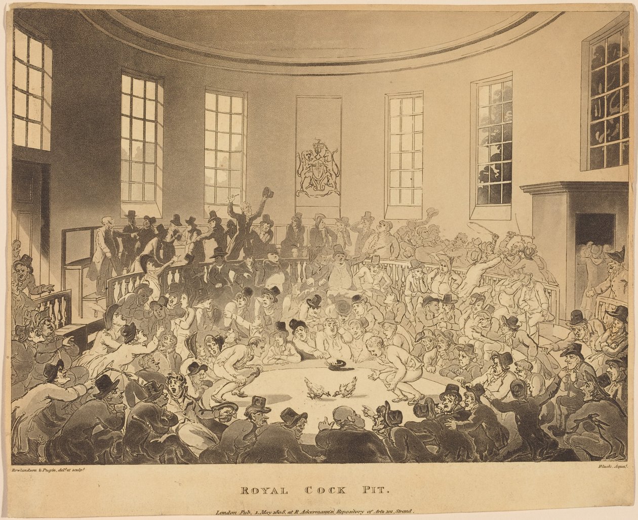 Royal Cock Pit - Thomas Rowlandson