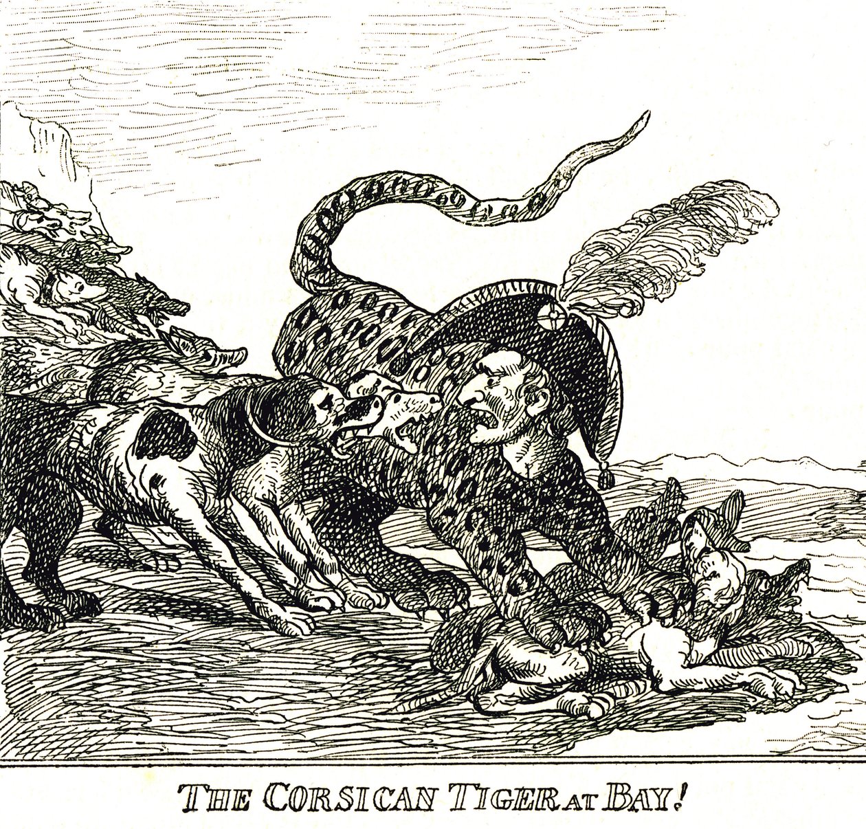 Le Tigre corse écorché (Napoléon Bonaparte), caricature 1808 - Thomas Rowlandson