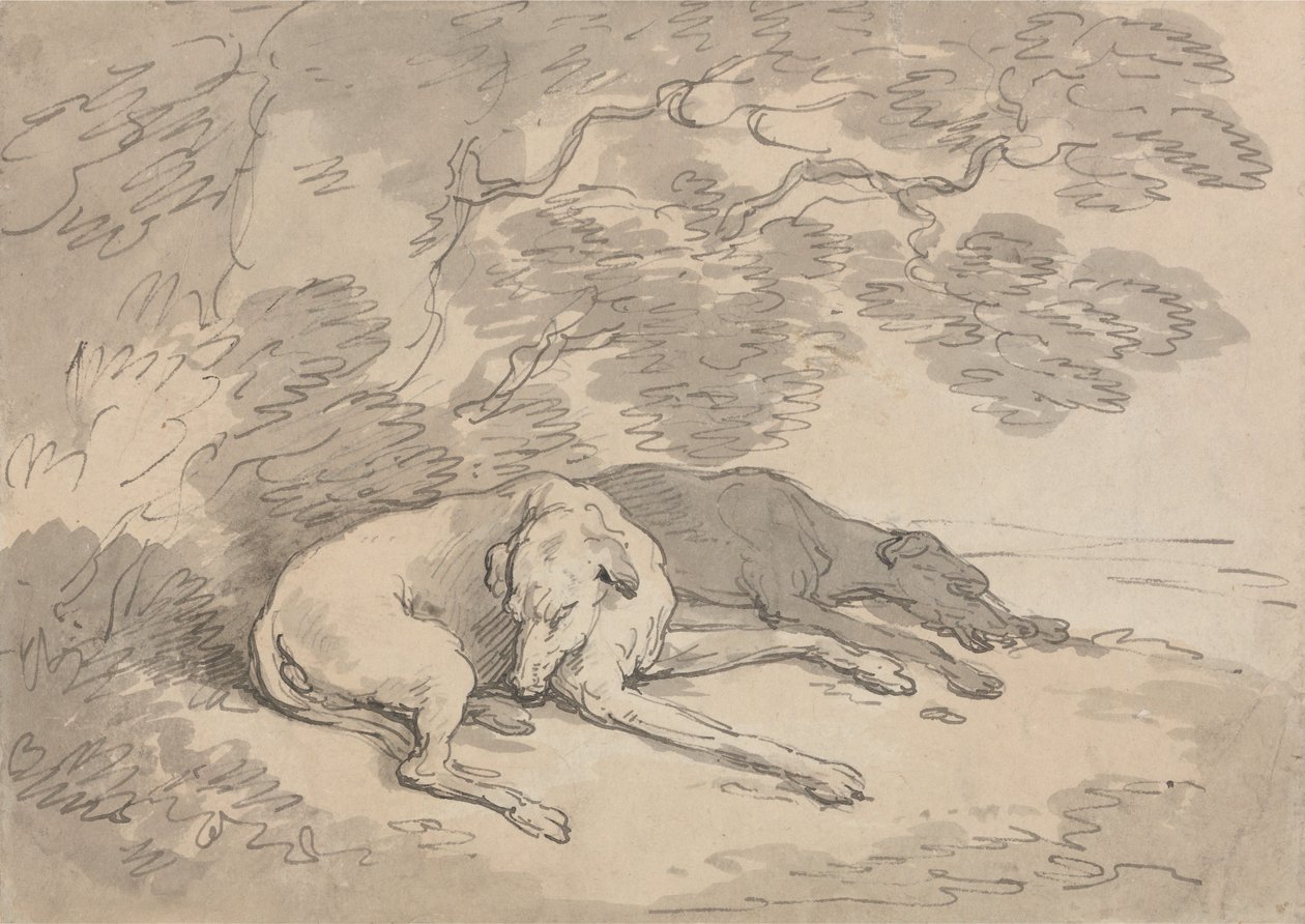 Deux lévriers couchés sous un arbre - Thomas Rowlandson