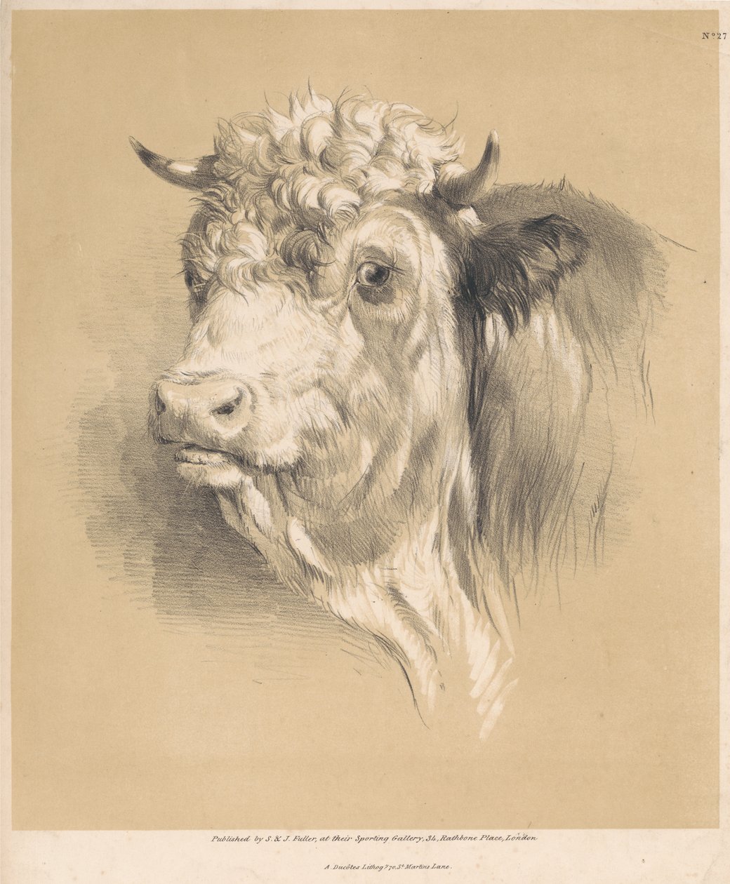 Une vache, no 27 - Thomas Sidney Cooper