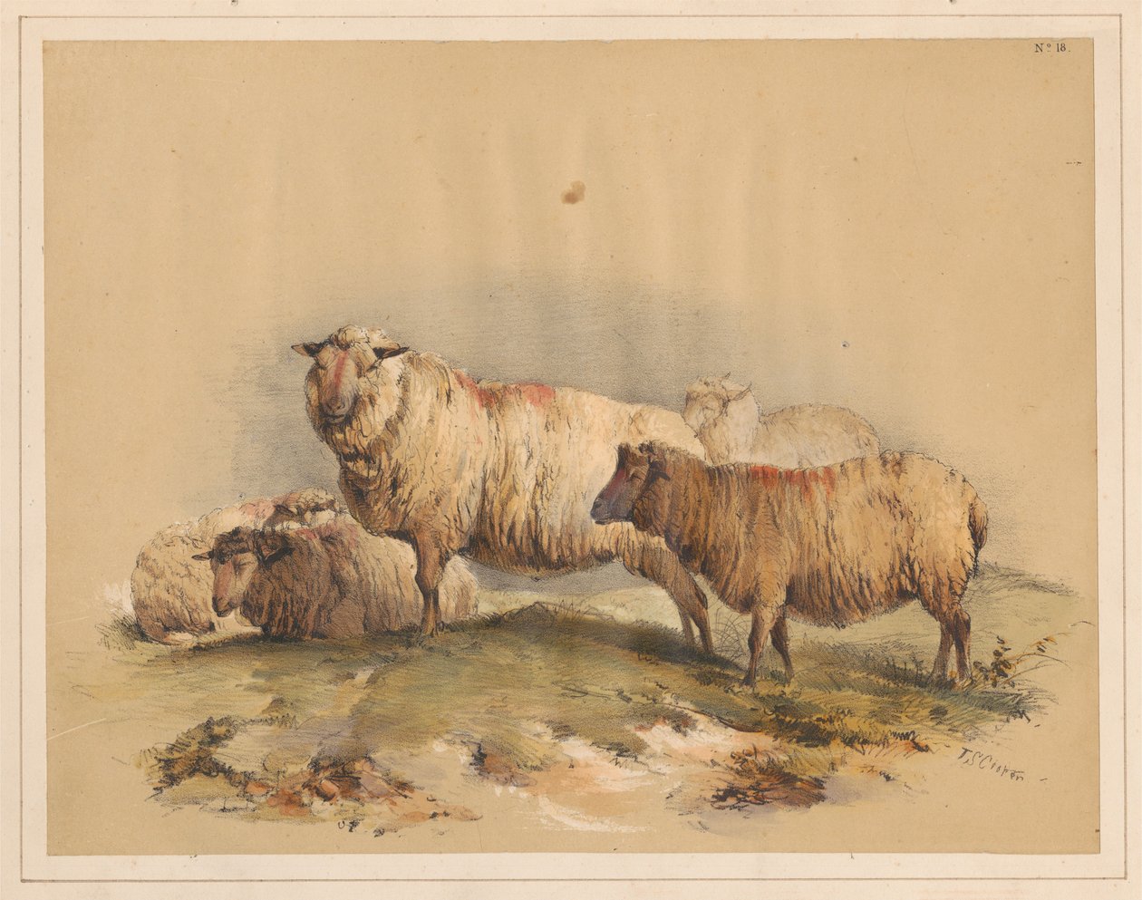 Moutons, no 18 - Thomas Sidney Cooper