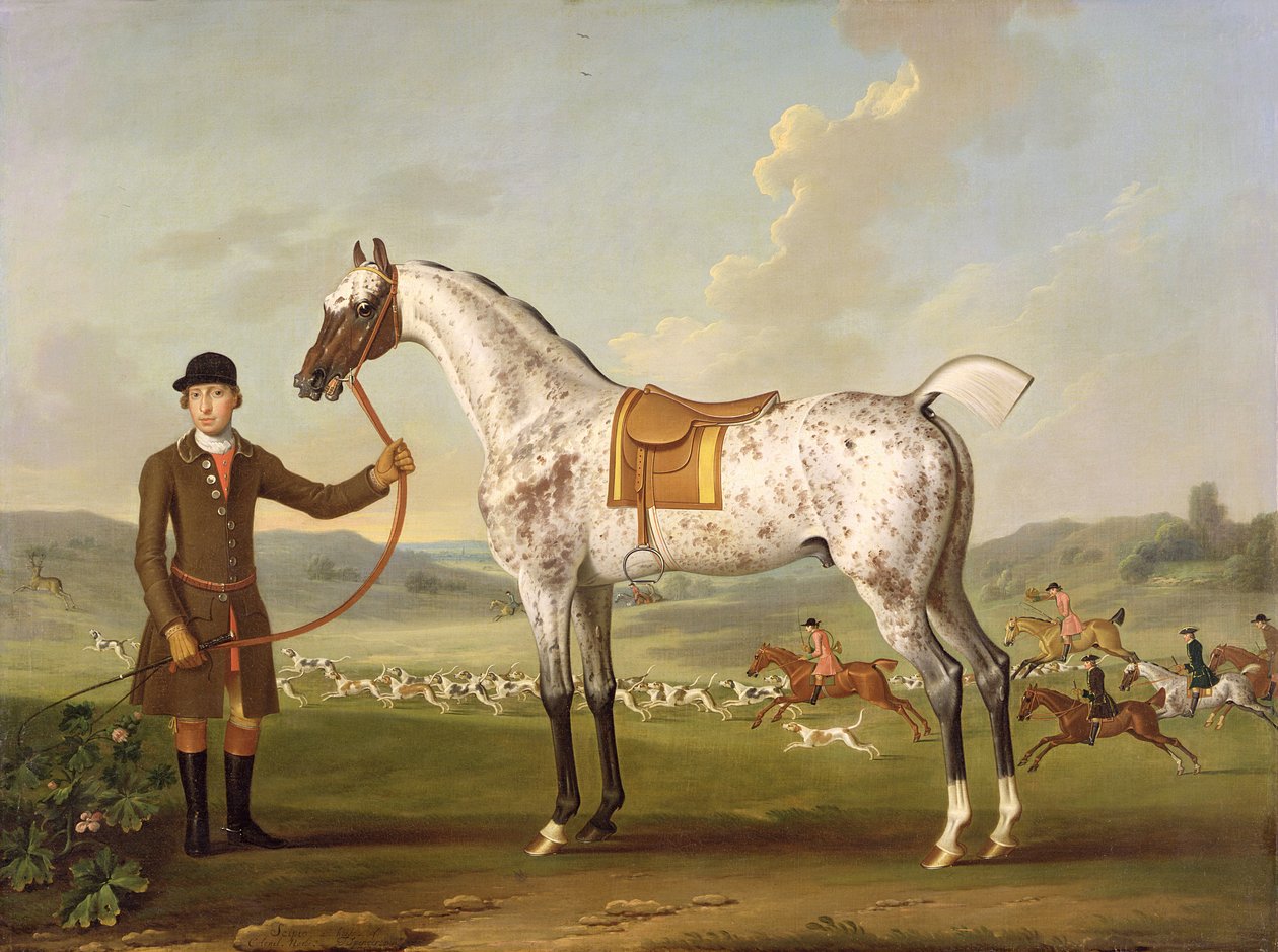 Scipio, le chasseur tacheté du colonel Roche - Thomas Spencer