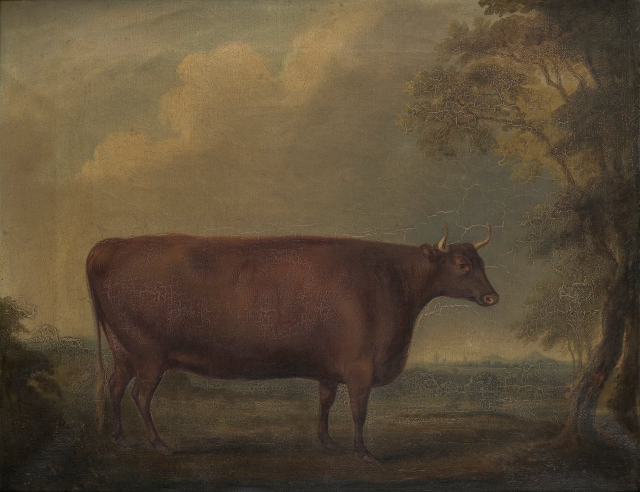 Génisses rouges du Devon dans un paysage, vers 1812