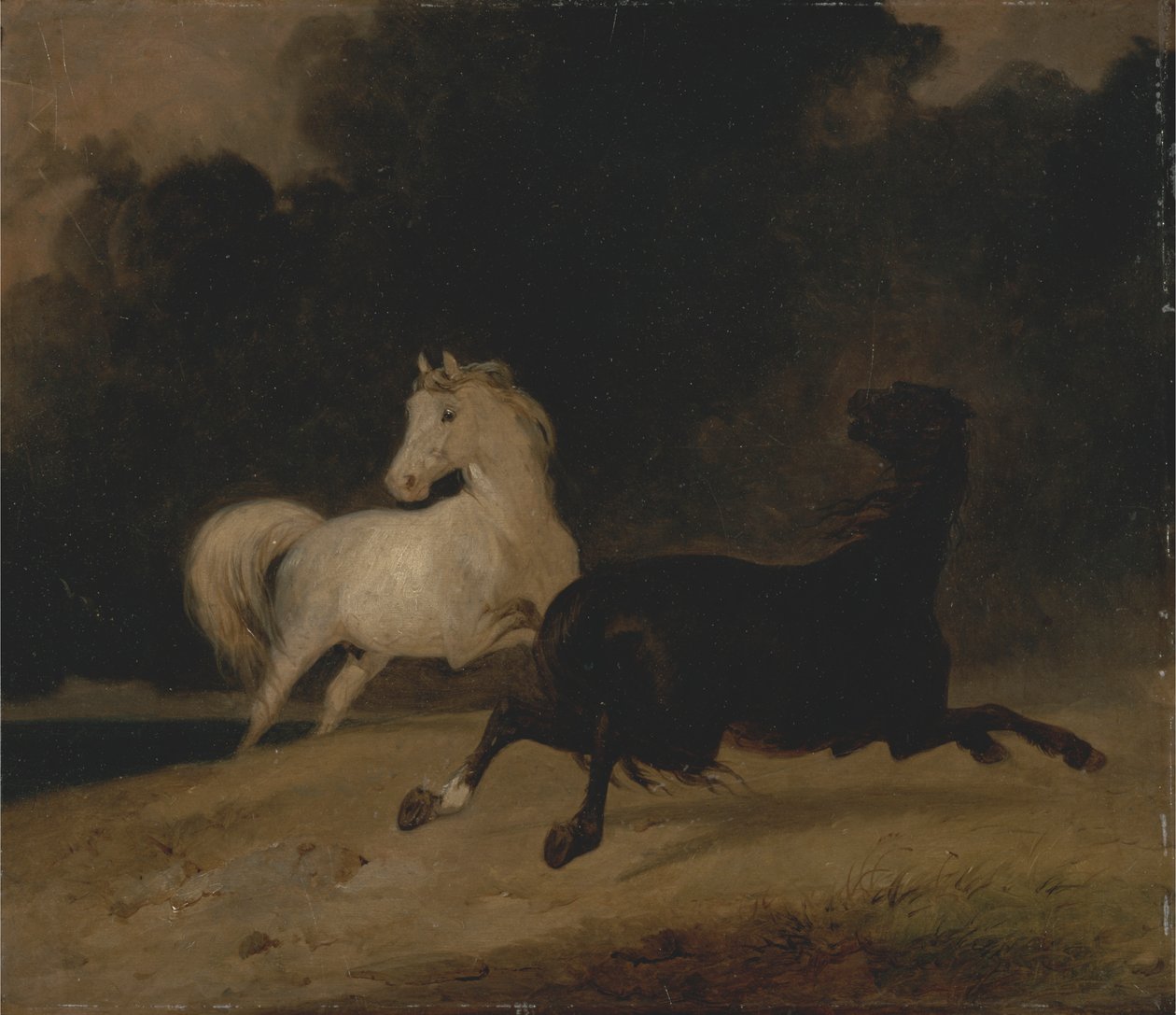 Chevaux dans un orage - Thomas Woodward