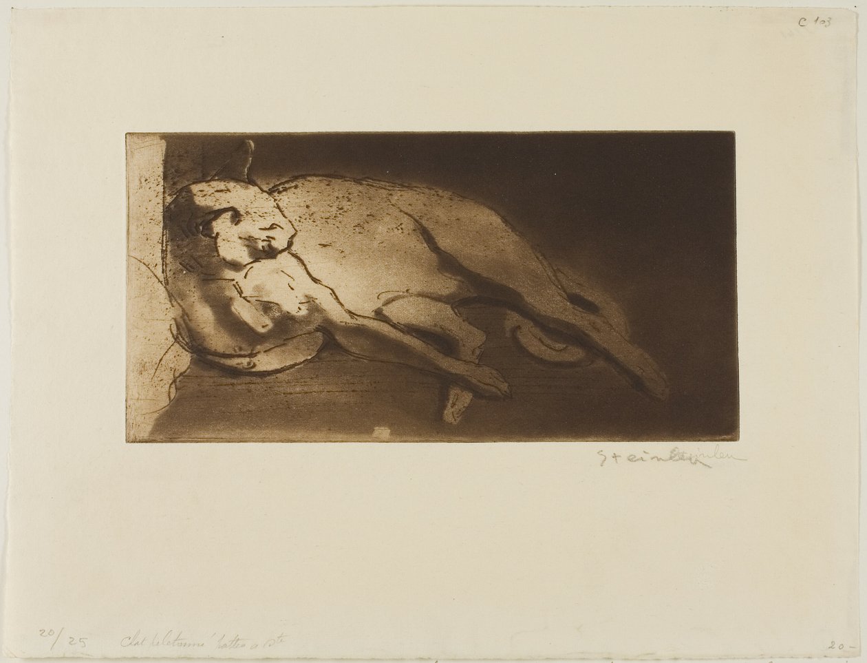 Chat allongé de gauche à droite - Théophile Alexandre Pierre Steinlen