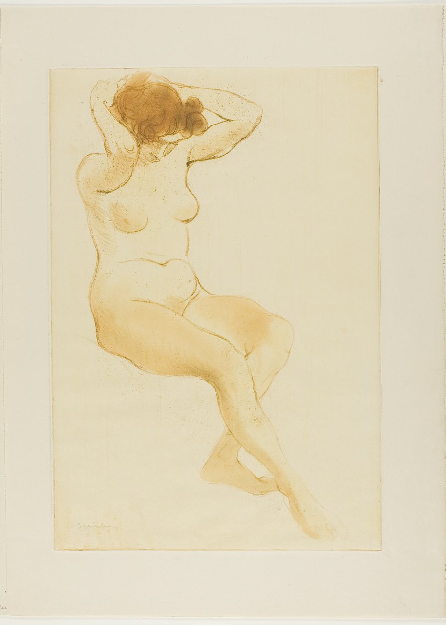 Femme se coiffant, vue de trois quarts - Théophile Alexandre Pierre Steinlen