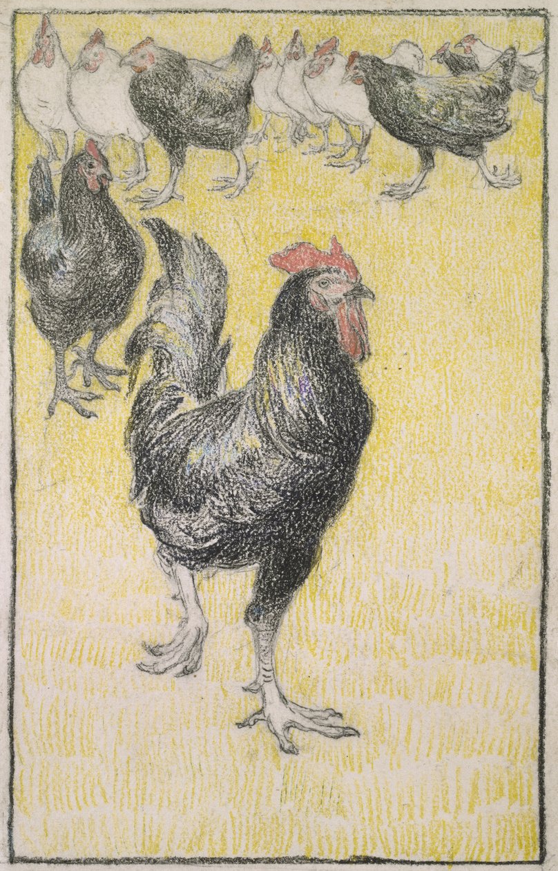Coq, suivi de poules noires et blanches - Théophile Alexandre Steinlen