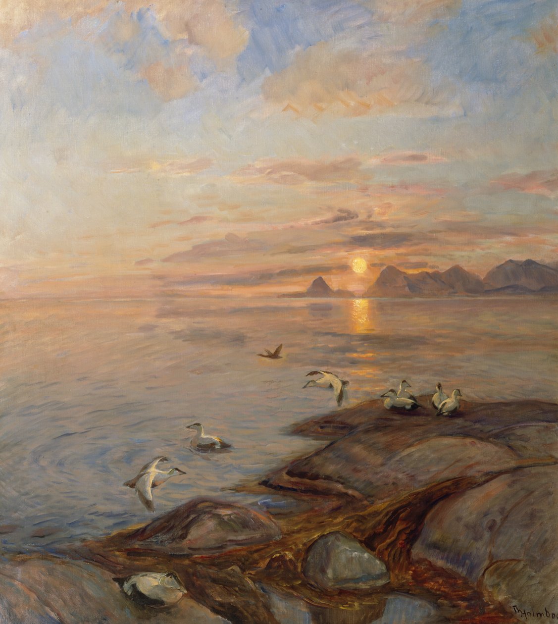 Oiseaux de mer au soleil de minuit - Thorolf Holmboe