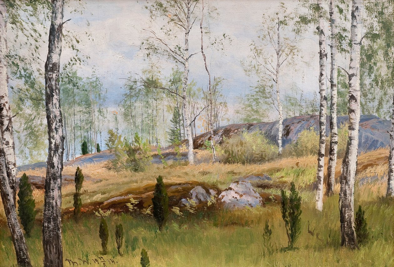 Bouleaux - Thorsten Waenerberg