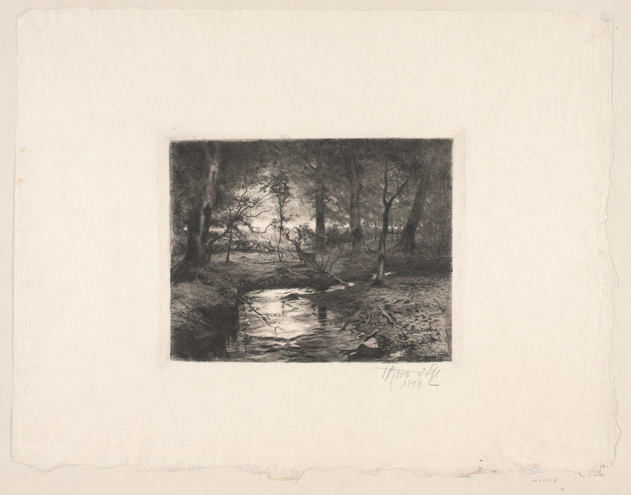 Rivière à Borrevejle Skov - Thorvald Niss