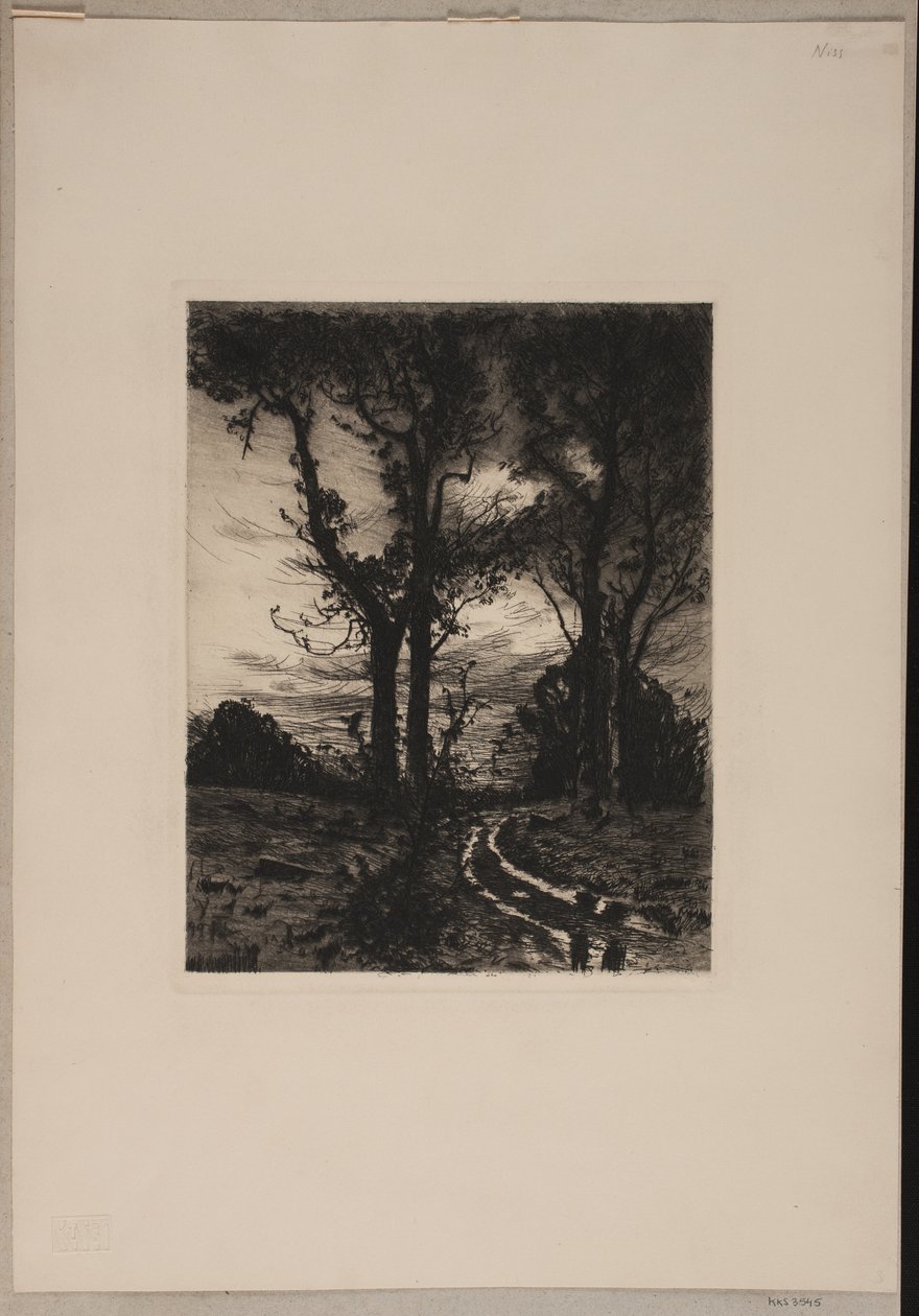 Chemin boueux entre les arbres - Thorvald Niss