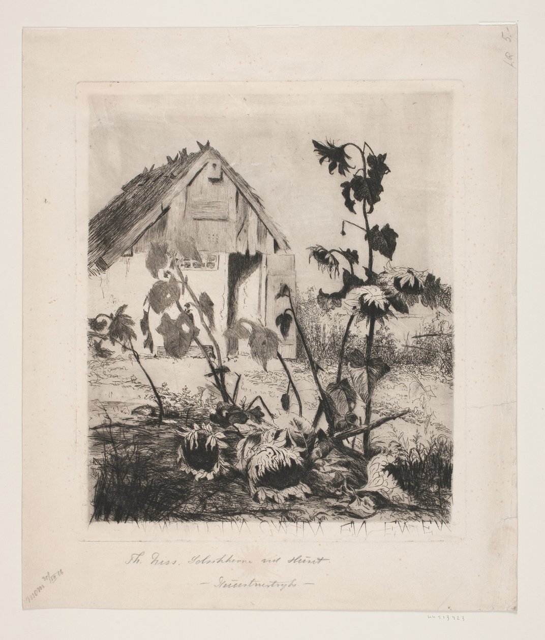 Les tournesols près de la maison - Thorvald Niss