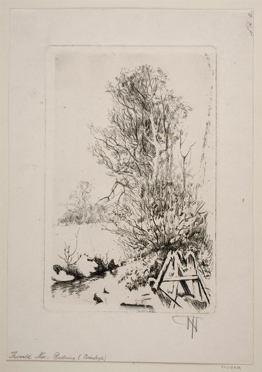 Arbres près d