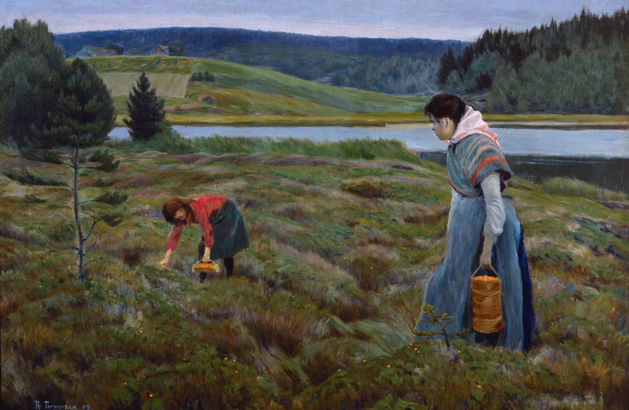 Cueillir des mûres arctiques - Thorvald Torgersen