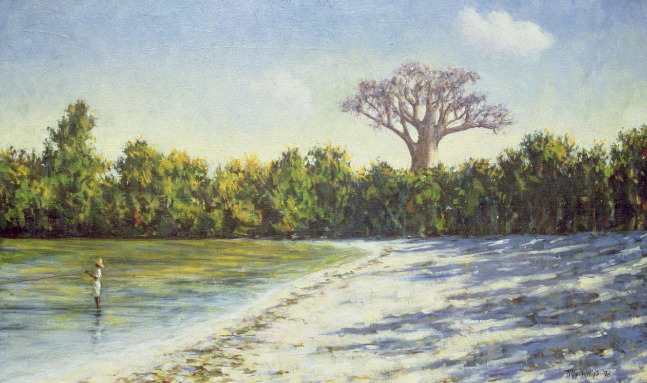 Pêche en Afrique, 1996 - Tilly Willis