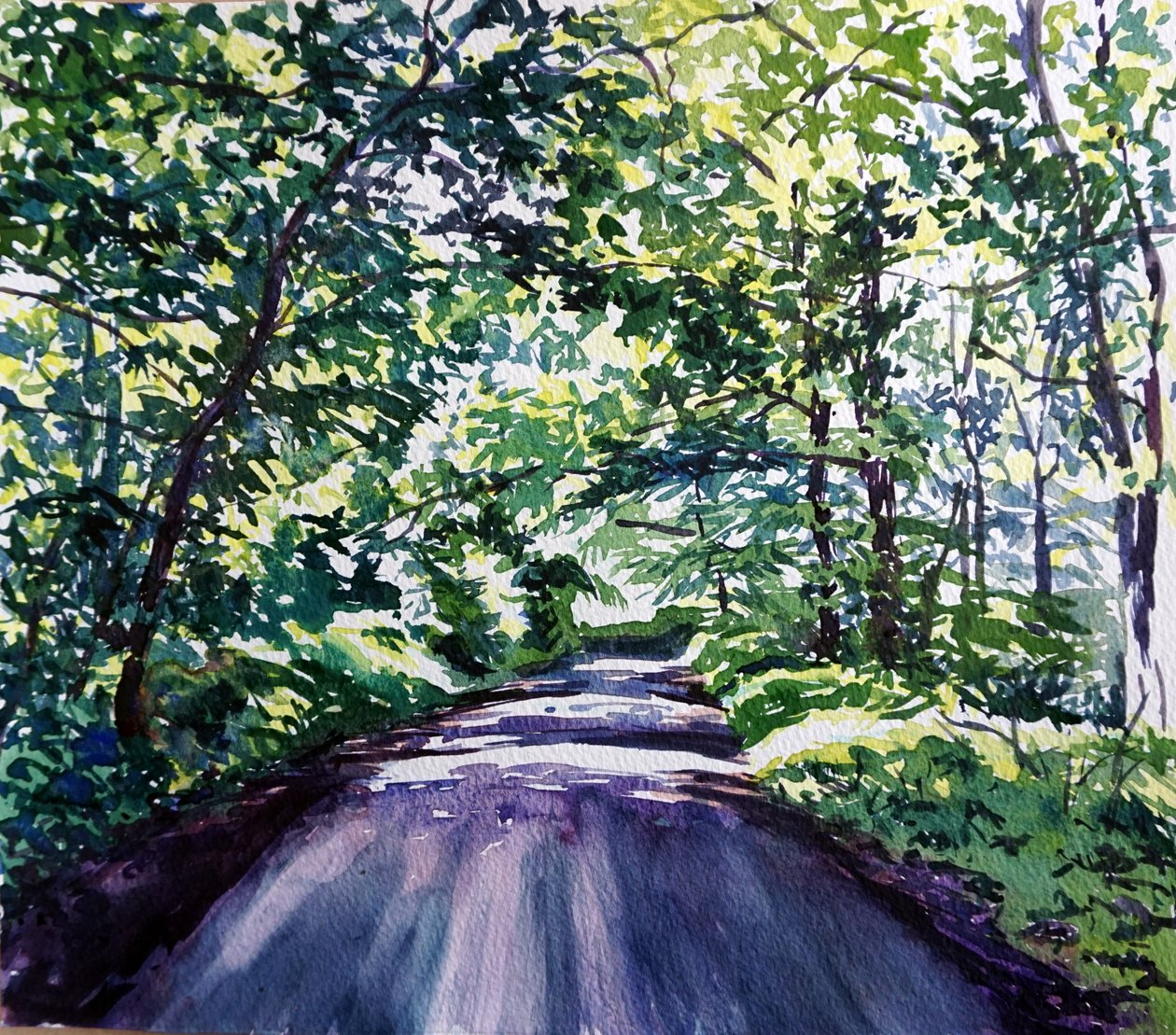 Route forestière 2017 - Tilly Willis