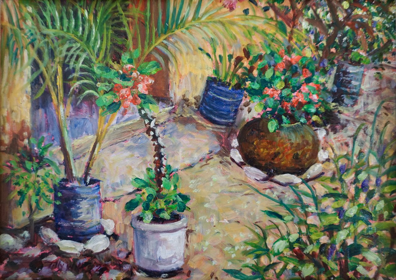 Plantes en pot africaines - Tilly Willis