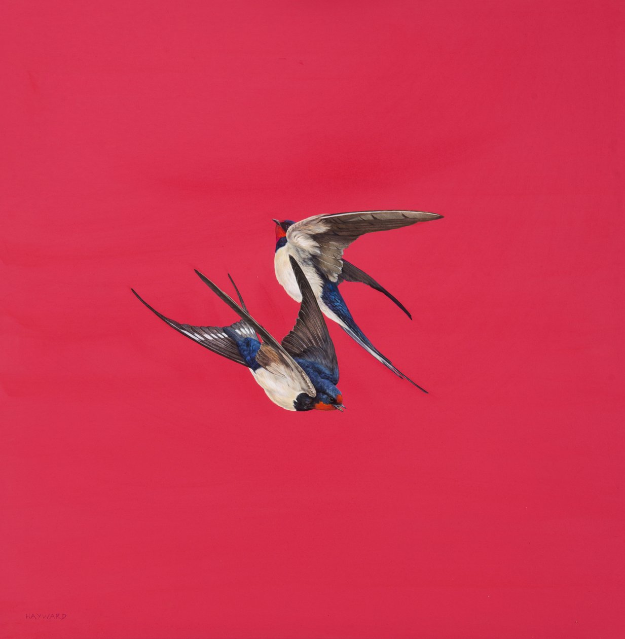 Tourbillon-Rouge - Tim Hayward