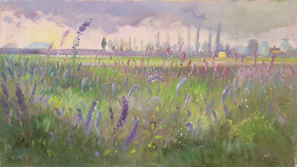 Delphiniums, Tempête passant, 1991 - Timothy Easton