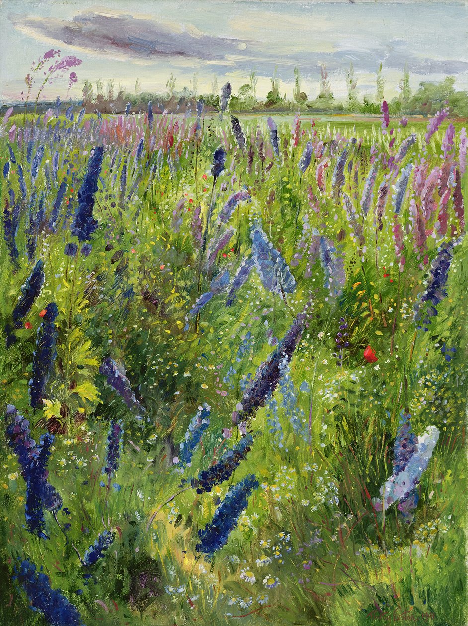 Delphiniums et soleil levant, 1991 - Timothy Easton