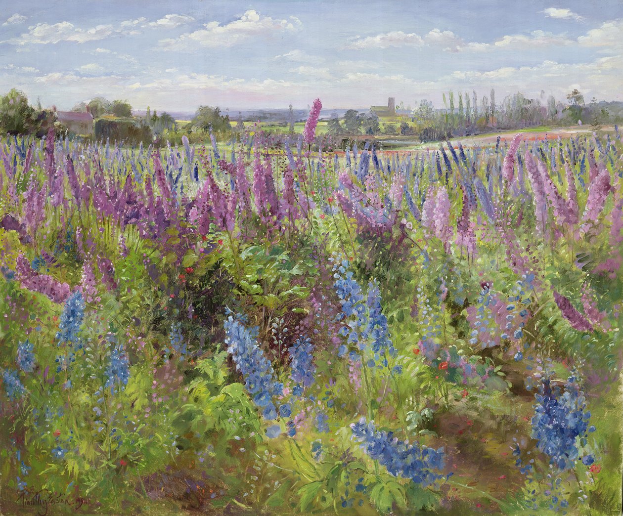 Delphiniums et coquelicots, 1991 - Timothy Easton