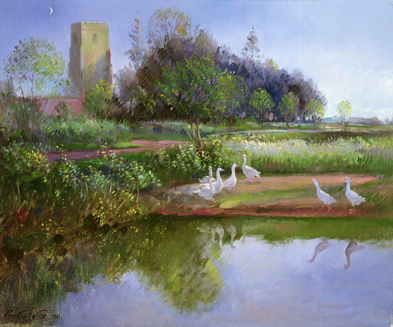 Oies au coucher du soleil, 1991 - Timothy Easton