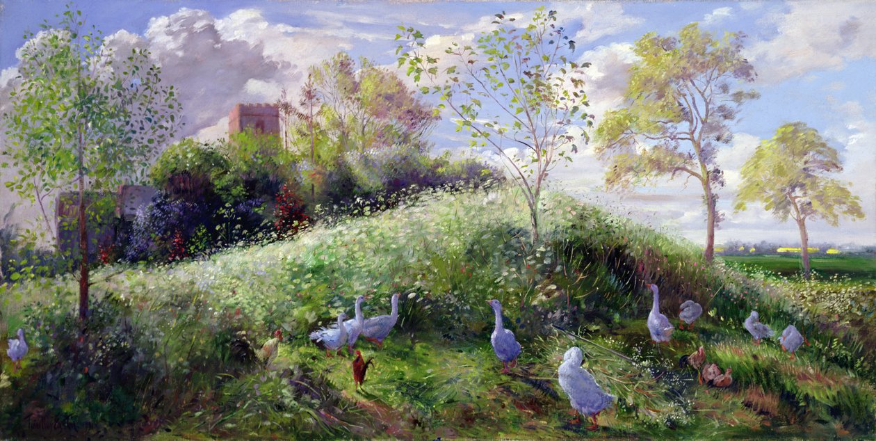 Mont en mai - Timothy Easton