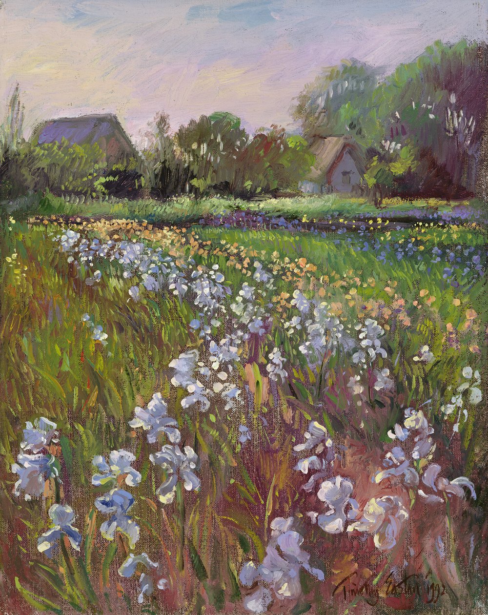 Iris blancs et ferme - Timothy Easton