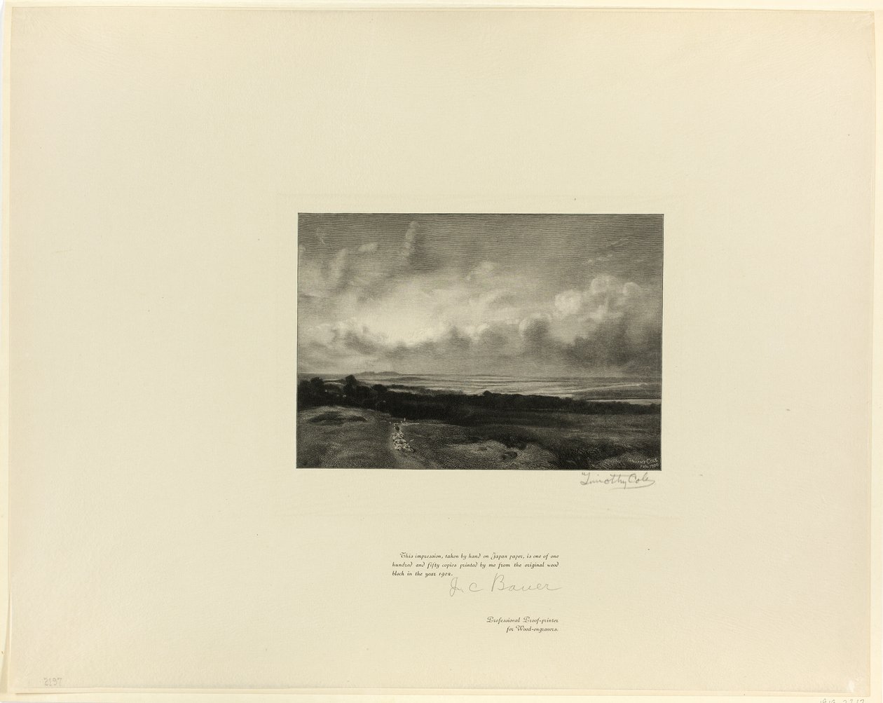 Hampstead Heath, d
