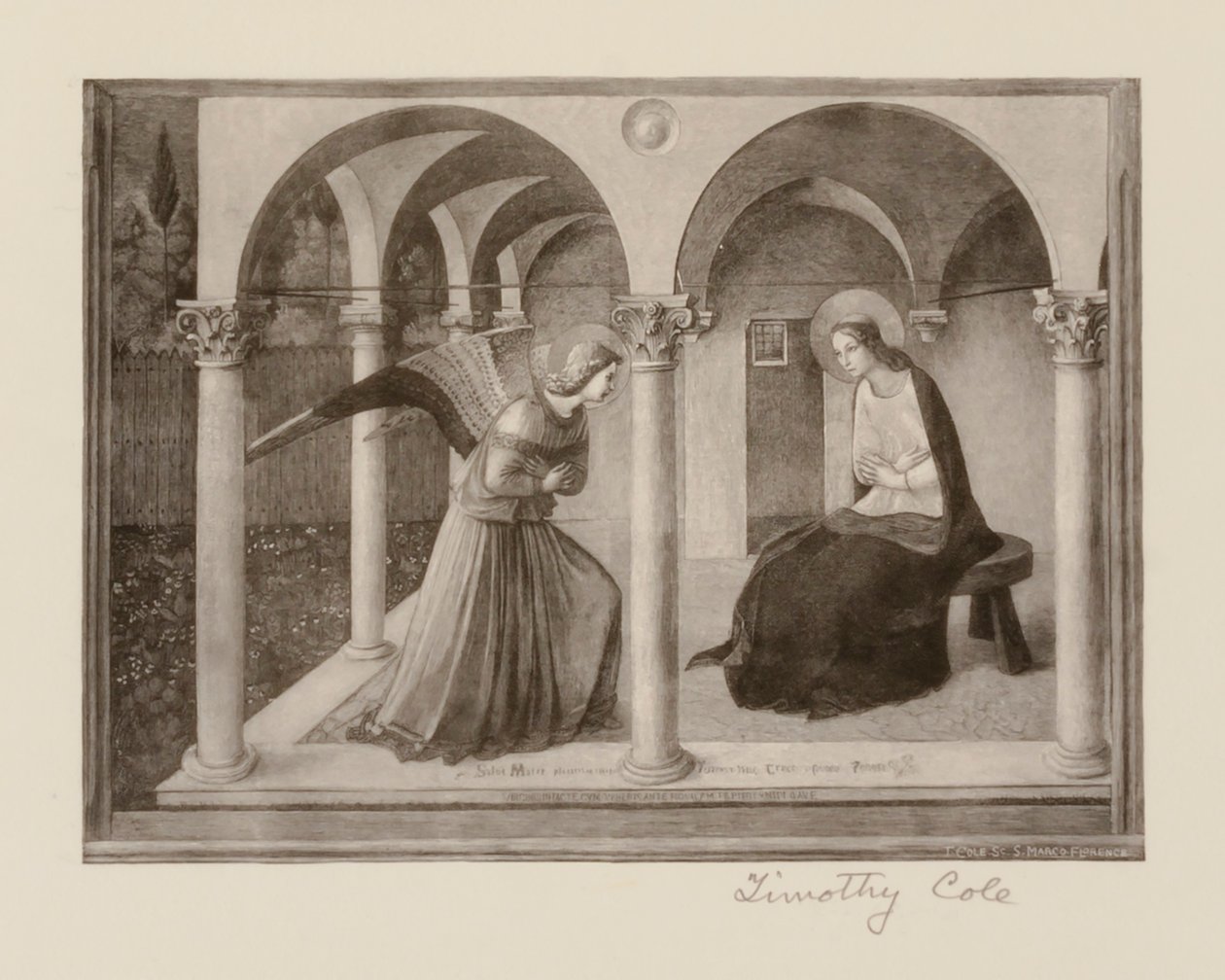 Anciens maîtres italiens - Timothy Cole