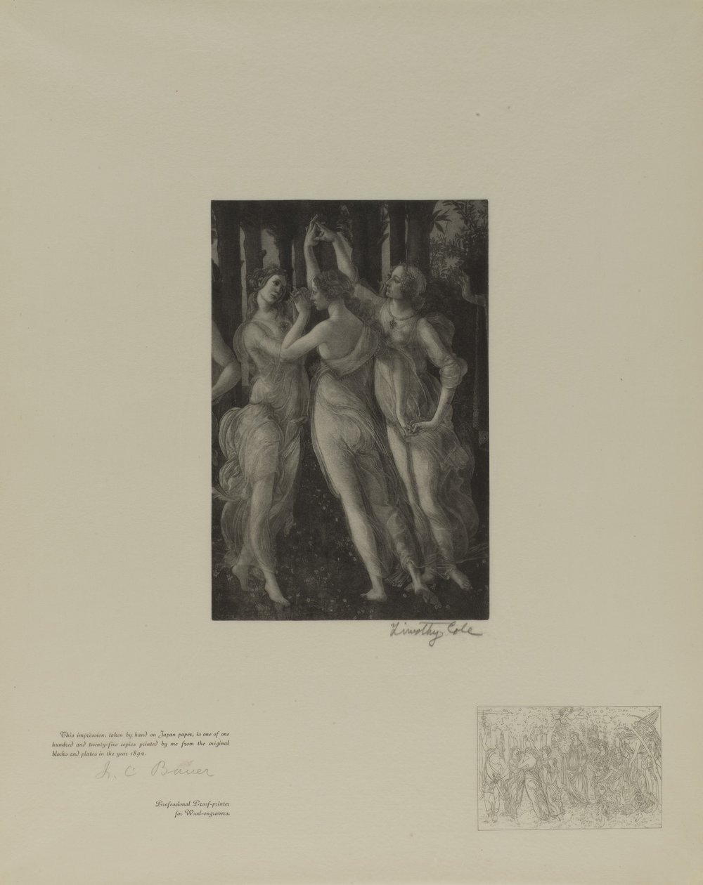 Anciens maîtres italiens - Timothy Cole