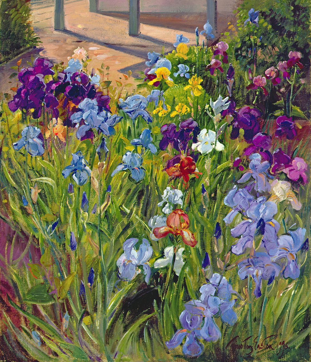 Iris et ombres de la maison d