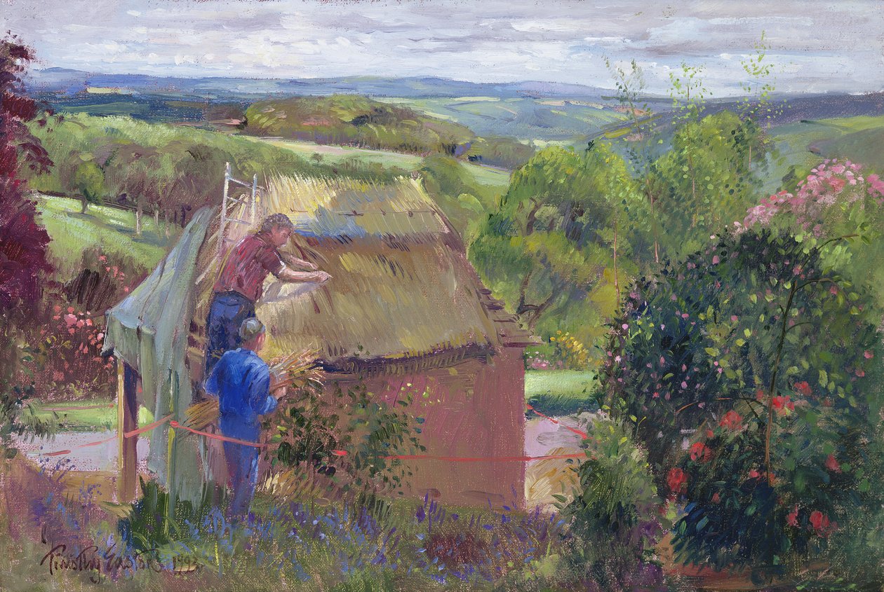 Chaume de la maison d