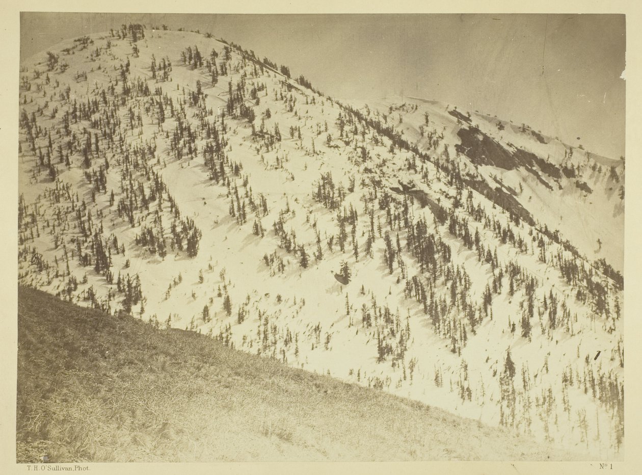 Snow Peaks, district minier de Bull Run, Nevada - Timothy O