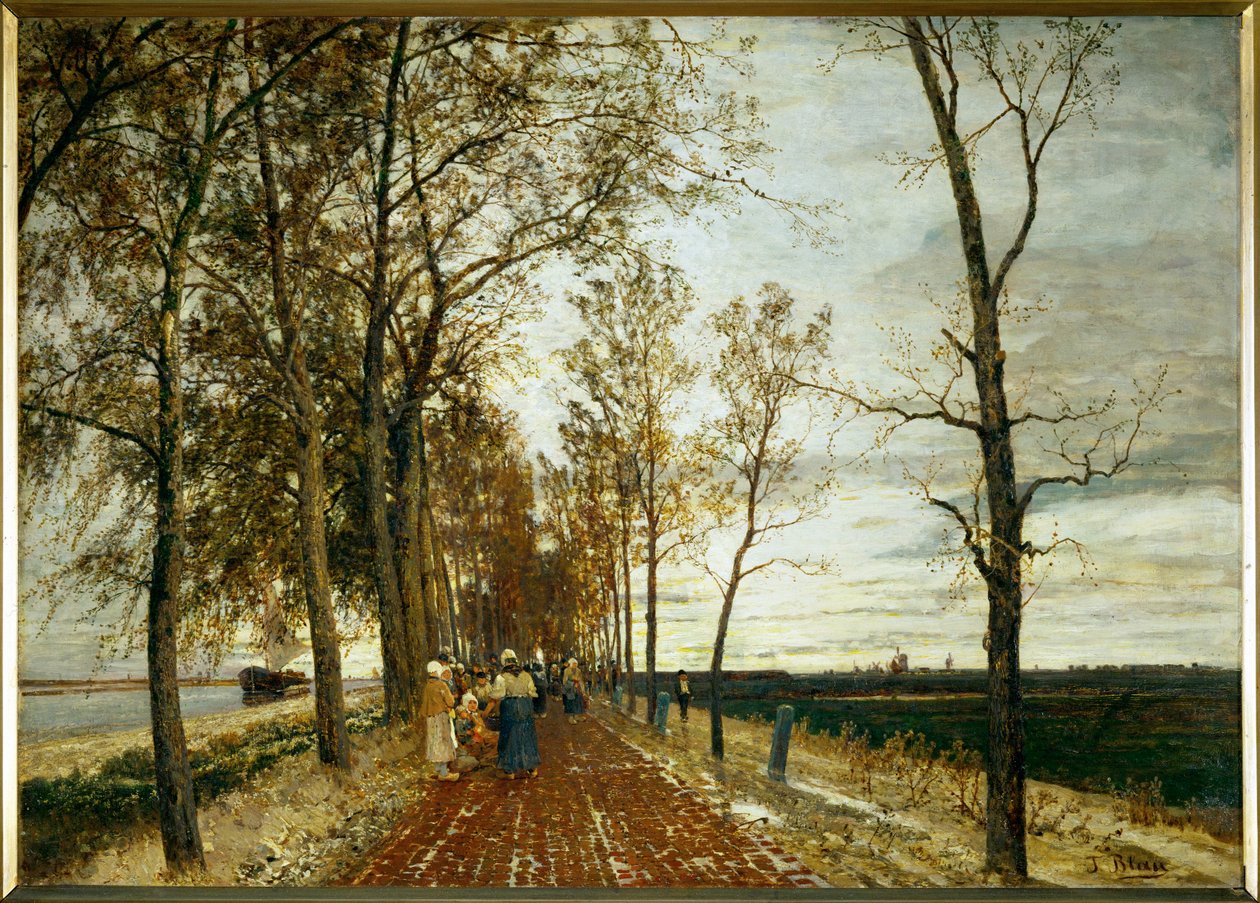 Allee bei Amsterdam - route arborée près d